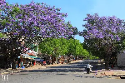 Trekking tour Vietnam 4 days: TP.HCM – Đà Lạt – Mũi Né (photo 4)