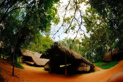 Tour trekking Việt Nam 1 ngày: địa đạo Củ Chi (xe đạp) (ảnh 2)