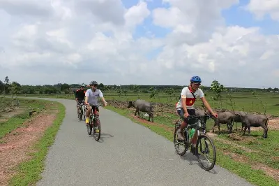 Tour trekking Việt Nam 1 ngày: địa đạo Củ Chi (xe đạp) (ảnh 4)