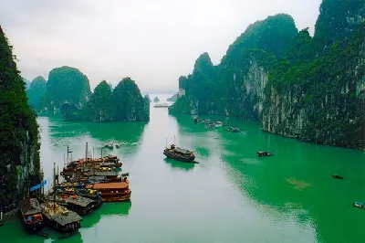 Du thuyền Việt Nam 3 ngày: Hà Nội – vịnh Hạ Long – tàu with Paloma (ảnh 3)
