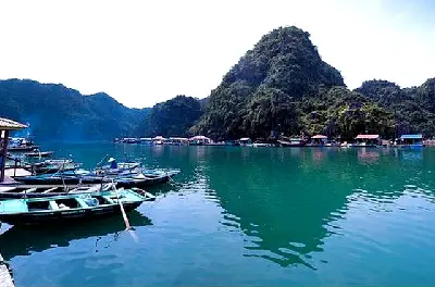 Du thuyền Việt Nam 3 ngày: vịnh Bái Tử Long – cảng Hòn Gai – Cặp La – Hòn Gai – tàu Princess Junk (ảnh 3)