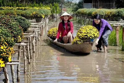 Du thuyền Việt Nam 2 ngày: Vĩnh Long – Bến Tre – Sa Đéc (buổi tối) (ảnh 5)