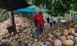 Tour Việt Nam – Campuchia 7 ngày