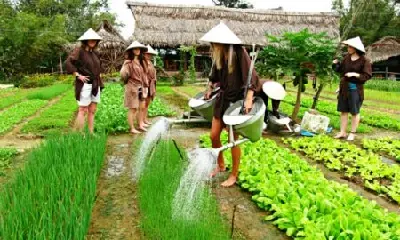 Tour trekking Việt Nam 2 ngày: Huế (ảnh 2)