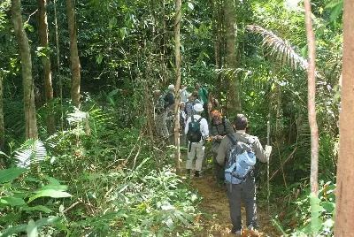 Tour trekking Việt Nam 2 ngày: Huế (ảnh 3)
