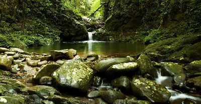 Tour trekking Việt Nam 2 ngày: Huế (ảnh 4)