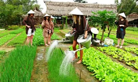 Tour trekking Việt Nam 3 ngày: Huế – TP.HCM – Hội An (xe đạp) — Huế