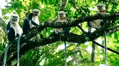 Tour trekking Việt Nam 2 ngày: Ninh Bình – Hà Nội (xe đạp) (ảnh 3)