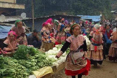 Tour trekking Việt Nam – Lào 2 ngày: Lào Cai (ảnh 4)