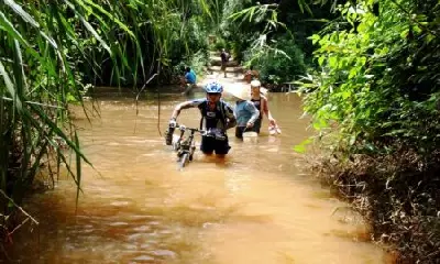 Tour trekking Việt Nam 3 ngày: TP.HCM – Cát Tiên (ảnh 3)