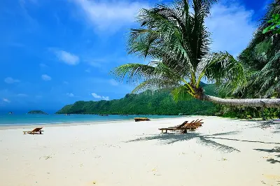 Tour nghỉ dưỡng biển Việt Nam 4 ngày: TP.HCM – Côn Đảo (ảnh 5)