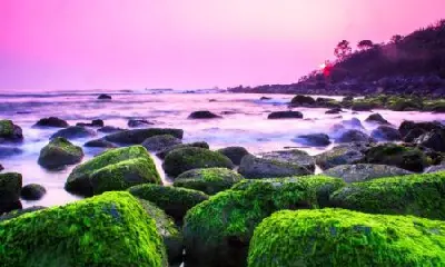 Tour nghỉ dưỡng biển Việt Nam 3 ngày: Phú Quốc