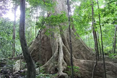 Tour Cúc Phương & Ninh Bình trong ngày (ảnh 3)