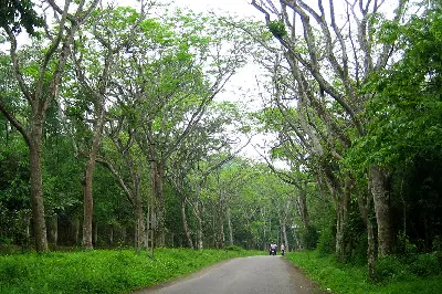 Tour Cúc Phương & Ninh Bình trong ngày (ảnh 4)