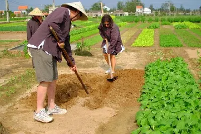Tour lớp học nấu ăn & Trà Quế nửa ngày