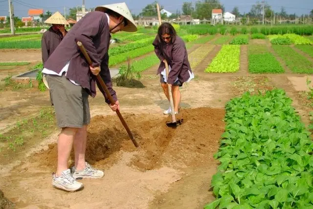 a cooking class & Trà Quế half-day tour