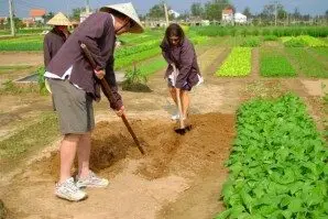 Tour Việt Nam nửa ngày (2)