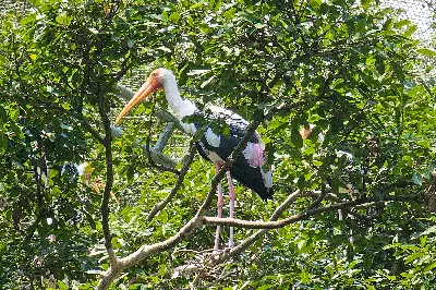 Tour Đồng Tháp trong ngày