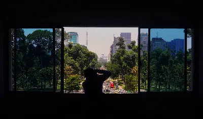 베트남 5일 투어: TP.HCM – Bến Tre – Mỹ Tho – Hà Nội (사진 3)