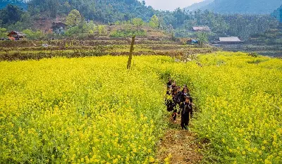 베트남 14일 투어: Hà Nội – Hạ Long 만 – Sa Pa – Huế (사진 3)