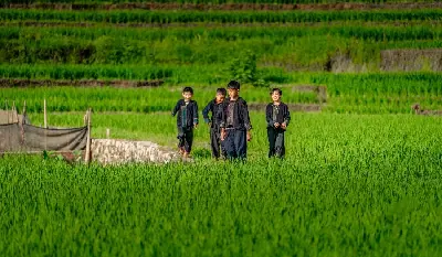 베트남 14일 투어: Hà Nội – Hạ Long 만 – Sa Pa – Huế (사진 4)