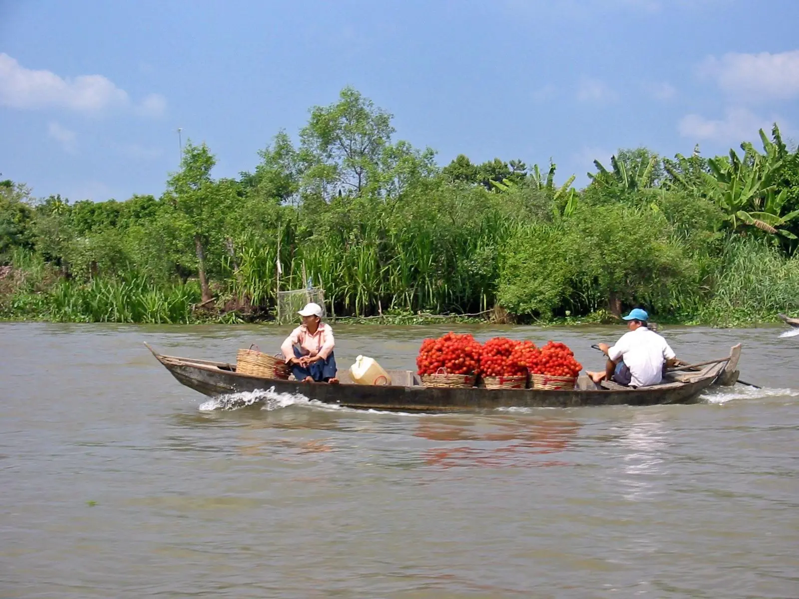 Tour Miền Tây 3 ngày: Tiền Giang – Cần Thơ – An Giang