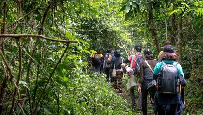 Tour Vườn quốc gia Cát Tiên 3 ngày (ảnh 2)