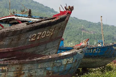 Tour Đà Nẵng – Hội An 3 ngày (ảnh 4)