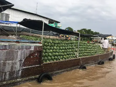 Southern Vietnam with Mekong Delta - 6 days (photo 3)