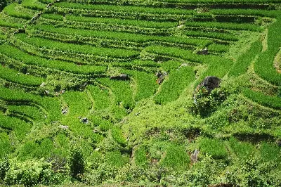 Tour Sapa – Tả Van – Bản Hồ 5 ngày (ảnh 2)