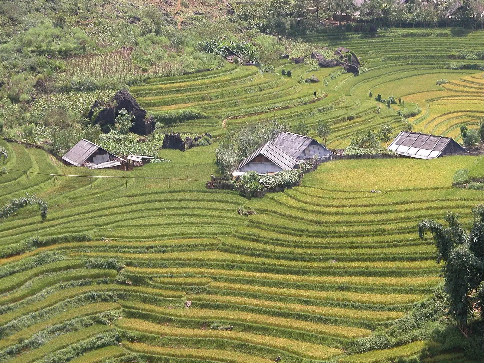 Tour Sapa – Cát Cát – Sín Chải – Giang Tả Chải 3 ngày — Sapa