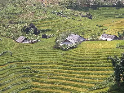Tour Lào Cai – Chợ Cao Sơn – Sapa 3 ngày (ảnh 3)