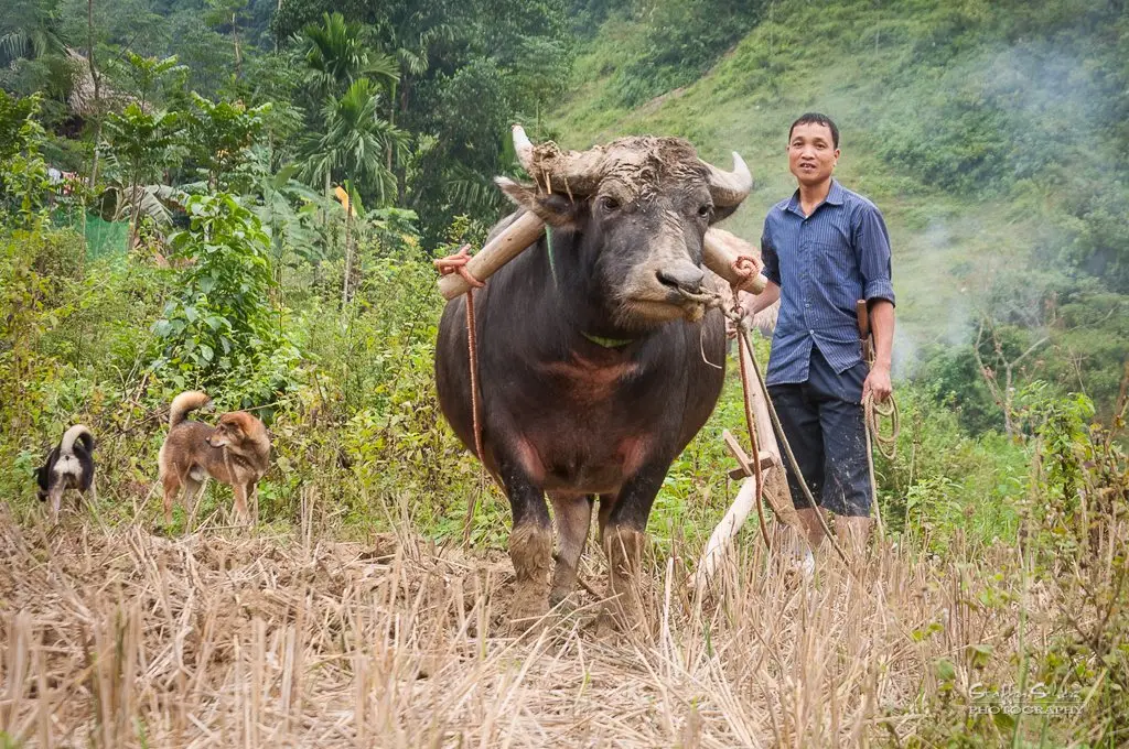 Tour trekking Pù Luông 6 ngày — Pù Luông
