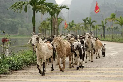 Tour trekking Pù Luông 6 ngày (ảnh 2)