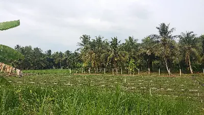 Vietnam food tour 7 days - North to South culinary journey (photo 5)