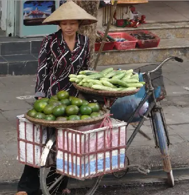 Tour Hà Nội nửa ngày: xích lô & múa rối nước (ảnh 2)