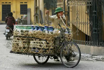 Tour làng cổ Đường Lâm (trọn ngày) (ảnh 2)