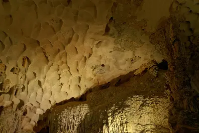 Tour Hoa Lư – Tam Cốc (trọn ngày) (ảnh 5)