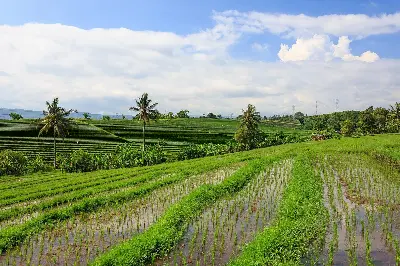 Indonesia
