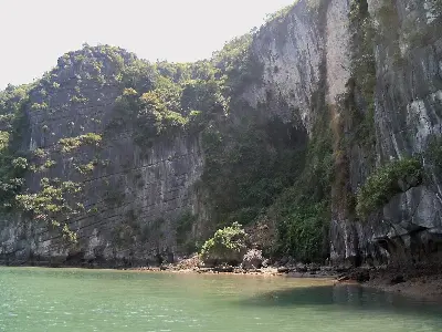 Hạ Long