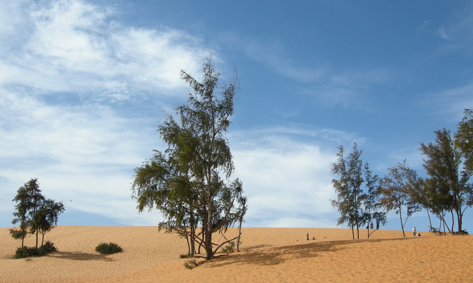 Landtour đoàn Cam Ranh – Mũi Né – Nam Khánh Hòa: Xứ Nắng Gió 5 ngày 4 đêm