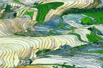 越南4天徒步行程：Lào Cai – Hà Nội – Sa Pa (照片 4)