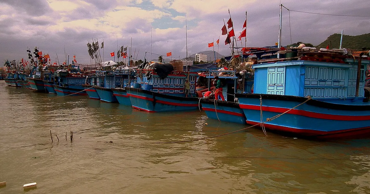 Đội thuyền cá neo tại bến Nha Trang