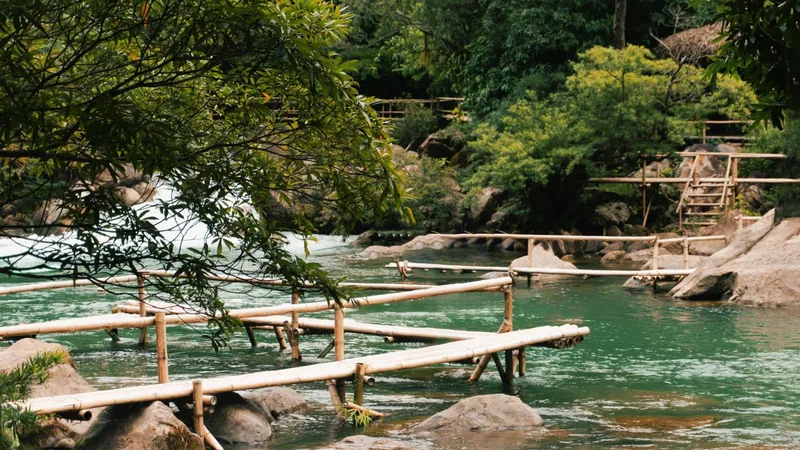 Cầu tre bắc qua dòng suối trong xanh tại Suối Nước Moọc, Phong Nha - Kẻ Bàng, Quảng Bình