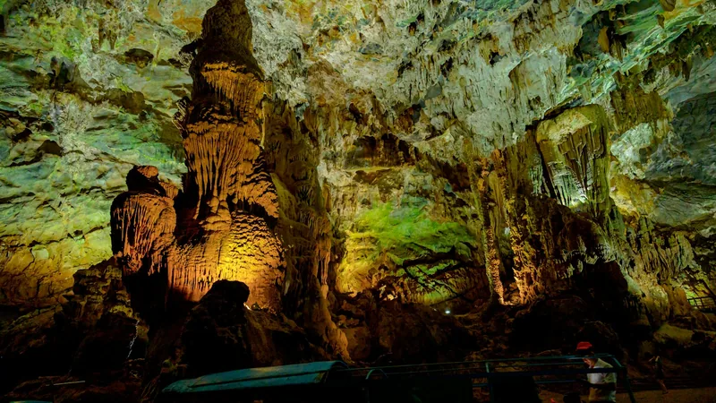 Hệ thạch nhũ trong hang động Phong Nha - Kẻ Bàng Bên trong hang động ở Phong Nha - Kẻ Bàng với hệ thạch nhũ được chiếu sáng, Quảng Bình