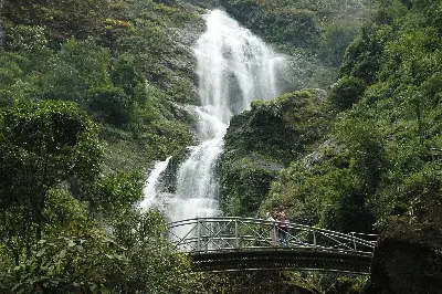 Sapa