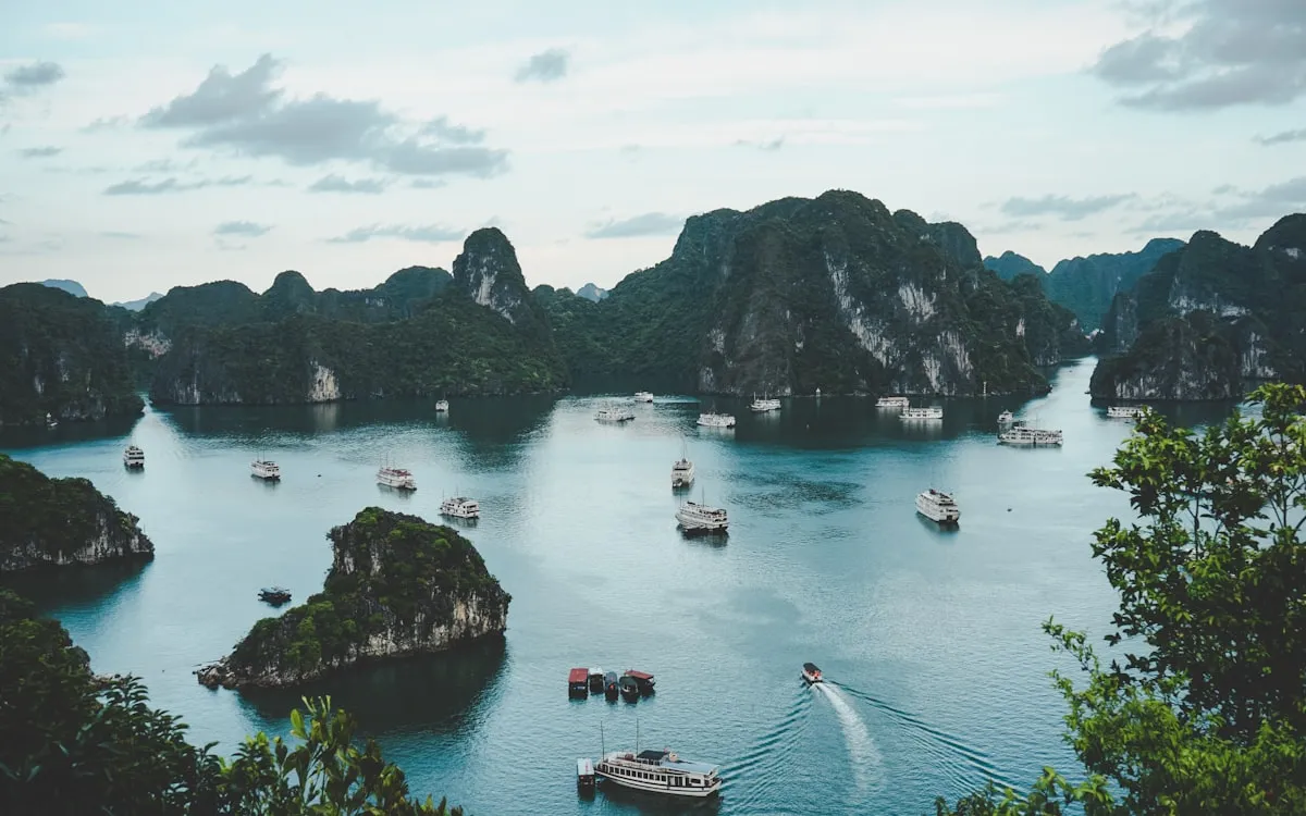 eSIM Việt Nam