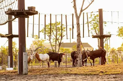 Vé Công Viên Giải Trí VinWonders Vũ Yên | Hải Phòng (ảnh 5)