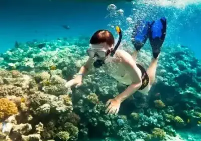 Cù Lao Chàm Day Trip from Da Nang – Snorkelling over the Coral (photo 5)