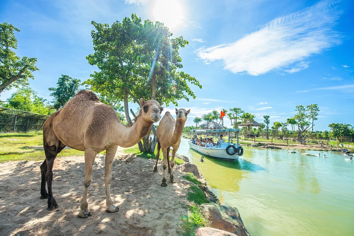 Tour VinWonders Nam Hội An 1 Ngày Từ Đà Nẵng